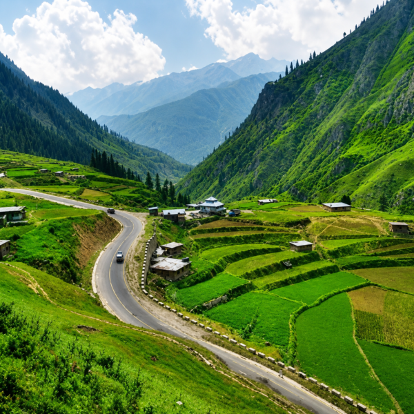 Special Family Tours - NARAN